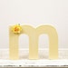 Letter M Monogram - Cake Topper - Table Decor - Photography Prop - Room Decor