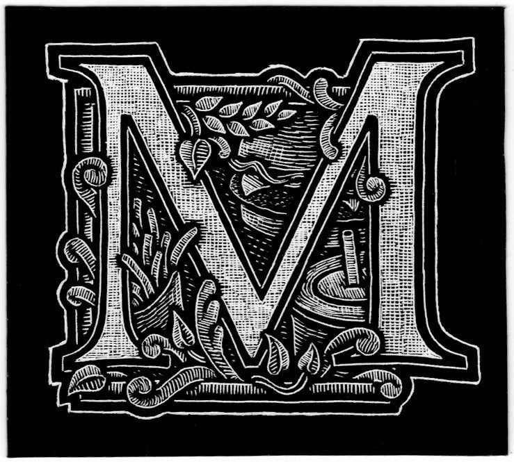 the letter m in different fonts