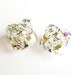 Vintage AB Iridescent Crystal Earrings