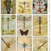 FLYING DRAGONS - 9 Digital collage print Dragonflies for scrapbooking, journaling, mixed media, altered art, album making, cards, tags