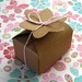SALE 8 Kraft Boxes Flower Top Pinstripe 1 3/4 x 2 1/2 inches