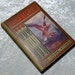 Vintage Bird Stories for Little People - Many Illustrations - c1920