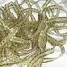 Gold Ribbon with Green...3/8" X 10 yards