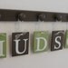 Nursery Decorations Wooden Letters. Set Includes 6 Pegs and Custom Baby Name HUDSON painted Light Green & Brown. Personalized Baby Gift
