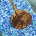 Zebrawood & Bocote Top Whorl Drop Spindle