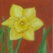 Daffodil Delight - Original Oil Painting