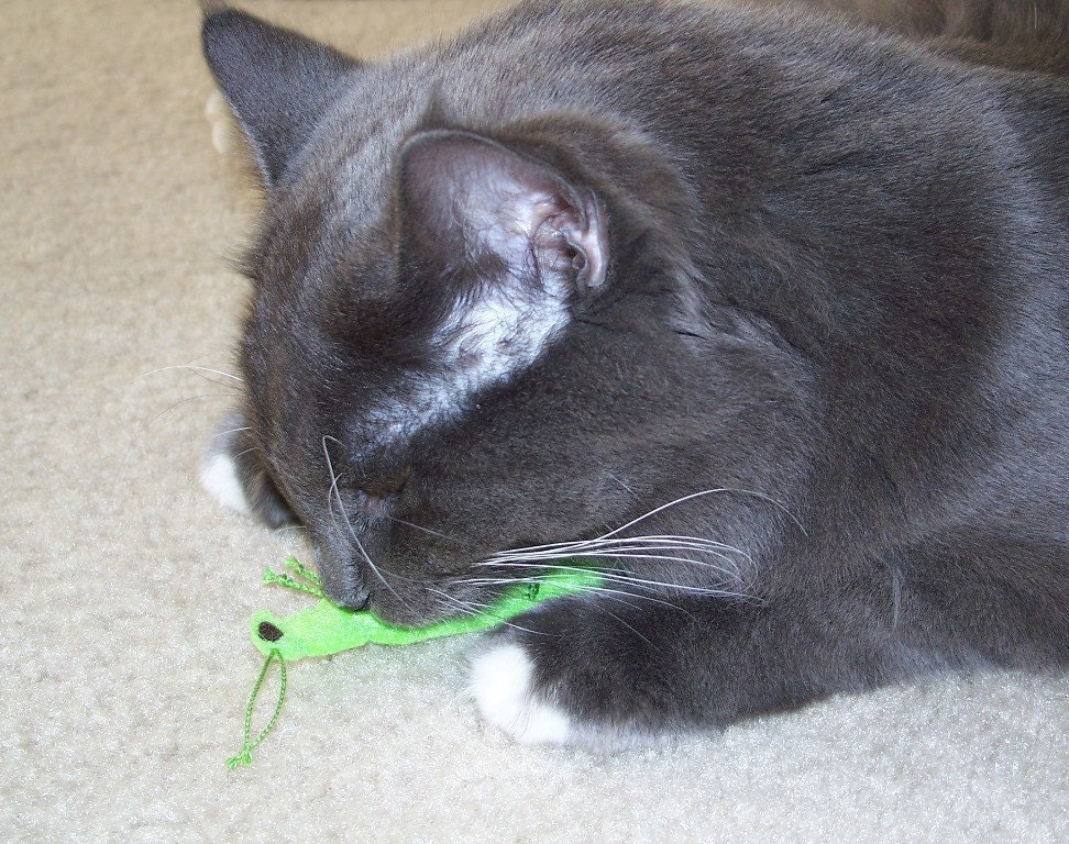 Catnip Cat Toy Green Felt
