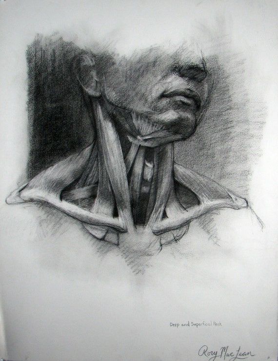 Items similar to Anatomy Drawing Original Charcoal by Rory Alan