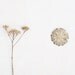 Vintage Soviet Union Filigree Metal Flower Brooch - Made in USSR - Elegant