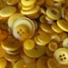 100 Sunflower Buttons Round Multi Sizes