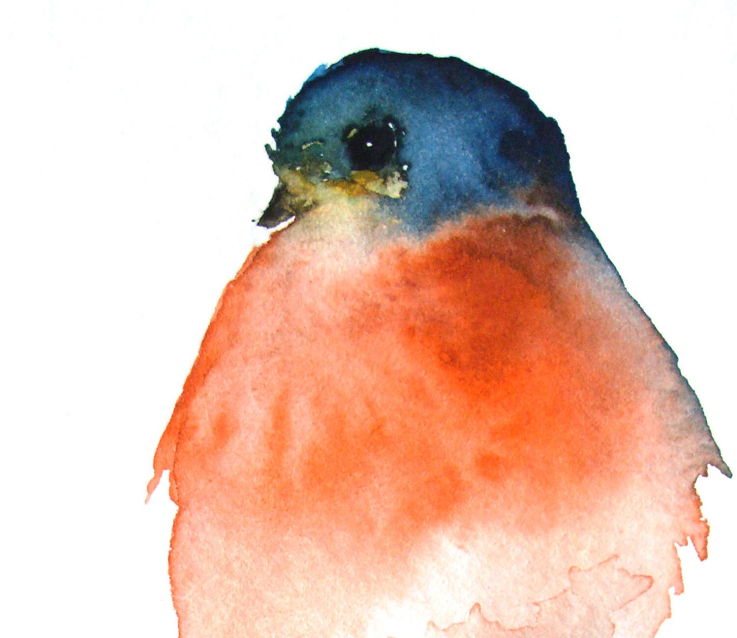 Kleiner Vogel in Blau und Orange Original von dearpumpernickel