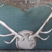 Designer Pillow Cover 10 x 20- Eric Cohler Antlers by Lee Jofa - Teal