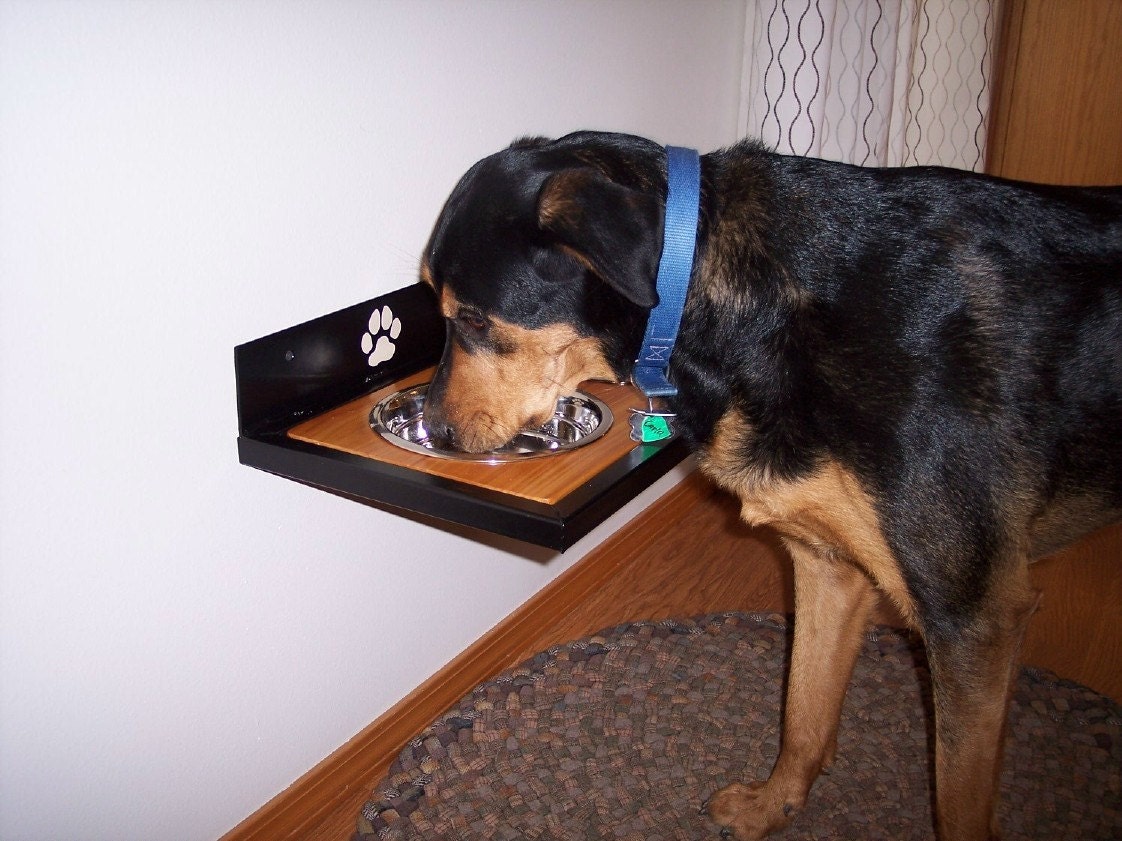 Elevated Wall mounted Dog Dish Holder