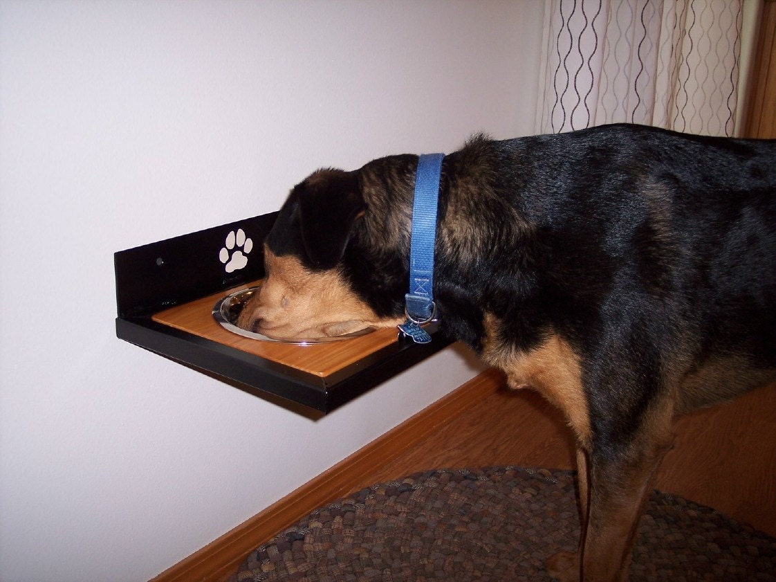 Elevated Wall mounted Dog Dish Holder