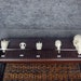 skull comparison ,fish,toad,tortoise,pigeon,rabbit