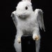 taxidermy of rabbit, named angel ,made by Real rabbit and pigeon wings.