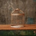 Antique Birdcage // Filigree Birdcage