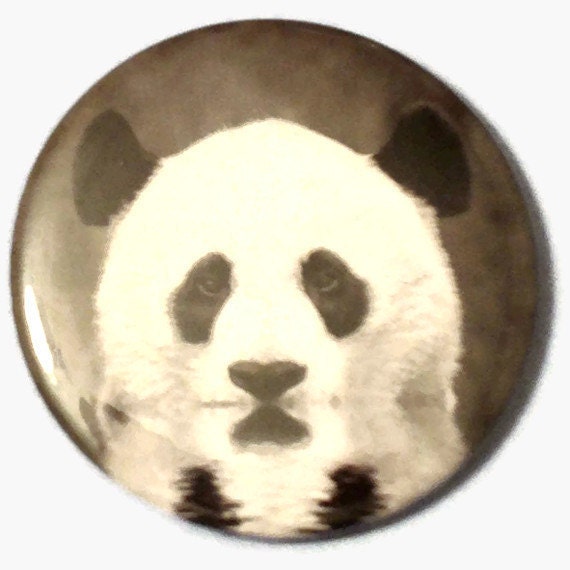 Panda Bear Pocket Mirror