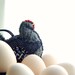Grey Hen, Kitchen Decoration, Textile Ornament