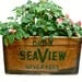 Vintage Wooden Crate - Seaview Beverages Box - Industrial Decor - Storage - Planter