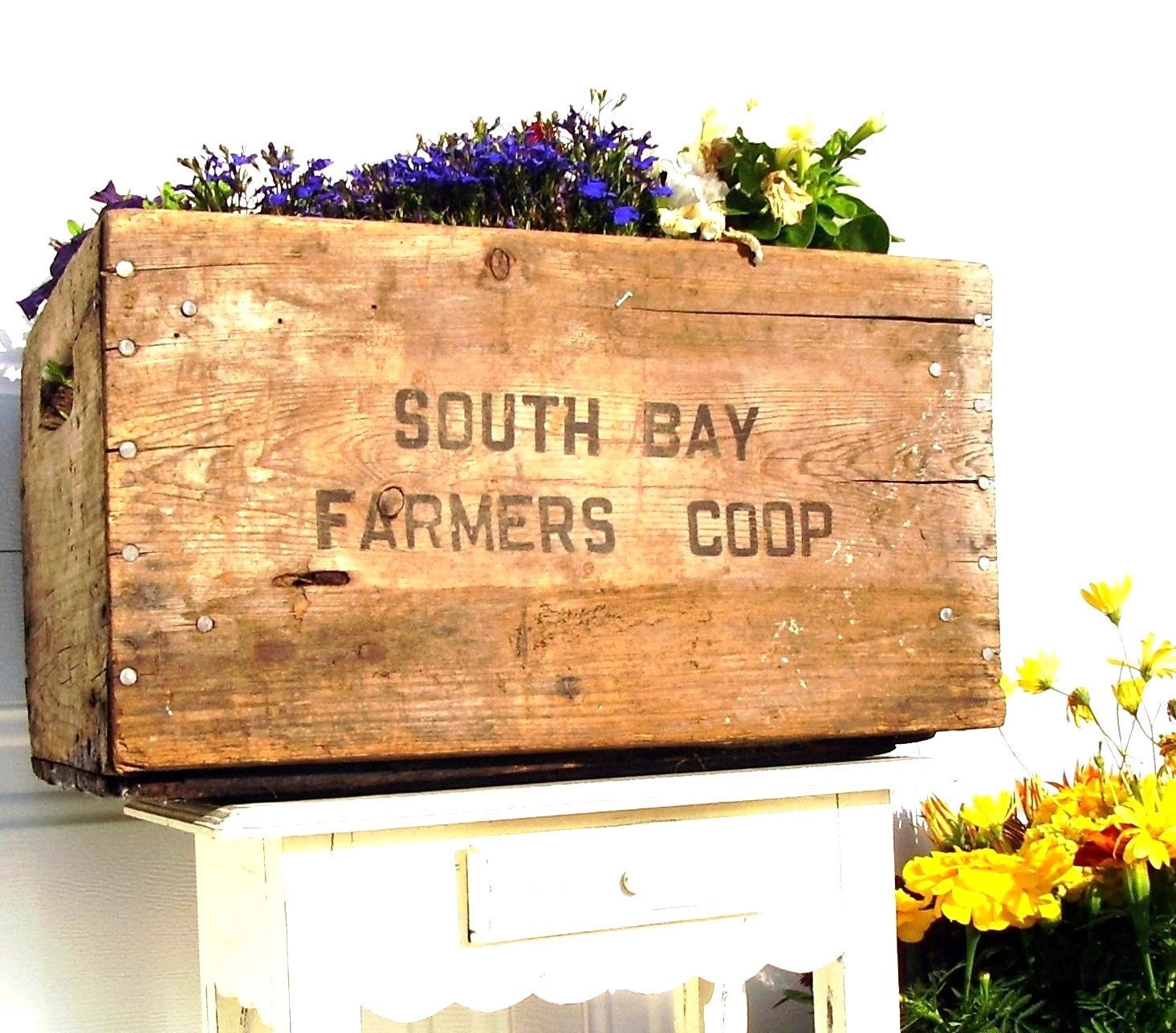 Vintage Wooden Crate Rustic Flower Planter Box 1960s