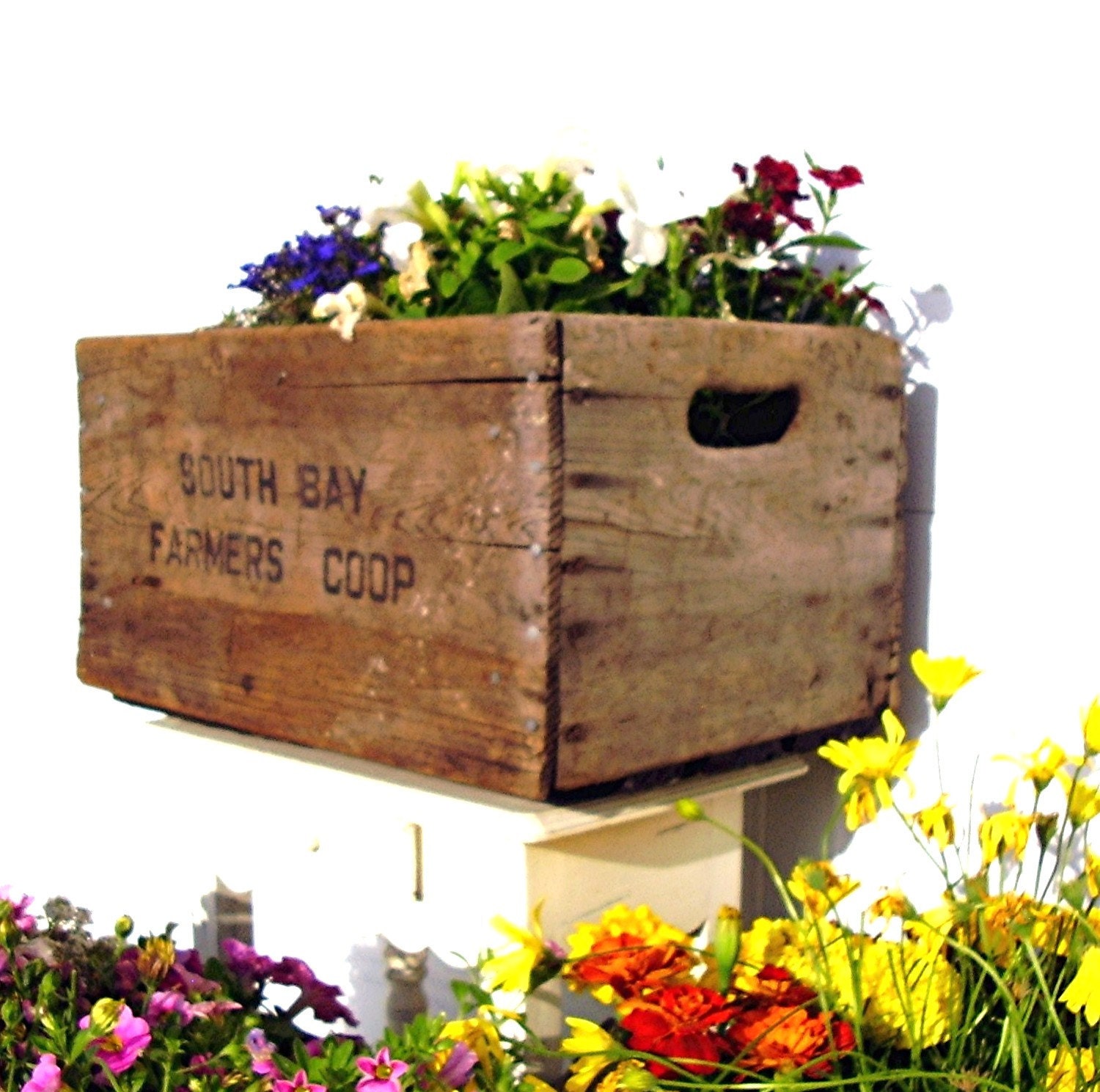 Vintage Wooden Crate Rustic Flower Planter Box 1960s