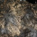 RAW Wool Unwashed Shetland X Romney