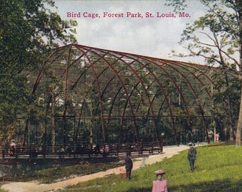Bird Cage at Forest Park- St. Louis , Missouri- 1900s Vintage Postcard 