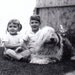 Holiday Greetings From Our House To Yours- Sheepdog Nanny- 1960s Holiday Photo Card