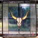 LT Stained glass Longhorn Skull bull window hanging panel 18 x 17