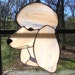LT Stained glass Poodle peach apricot dogs head suncatcher light catcher with streaked gray aqua collar