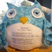 Custom Owl Pillow For Kalyne