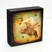 Set of 3 Wood Photo Blocks owl,bunny rabbit,snake,pig,birds,telephone wire, clouds,stormy,teal,sepia,brown,black,rustic,cottage