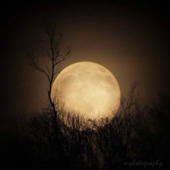 Items similar to full moon photograph, a celestial night sky 8x8 fine ...