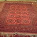Vintage Made in Pakistan Ersari Qarkin Room Sized Oriental Rug Red and Black 6' 4" by 9'