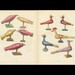 Toy Bird Antique Toy Print Illustrated By Emanuel Hercik, 1951