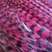 1 Dozen 4 inch Burgundy Striped SHORT Grizzly Rooster Feathers