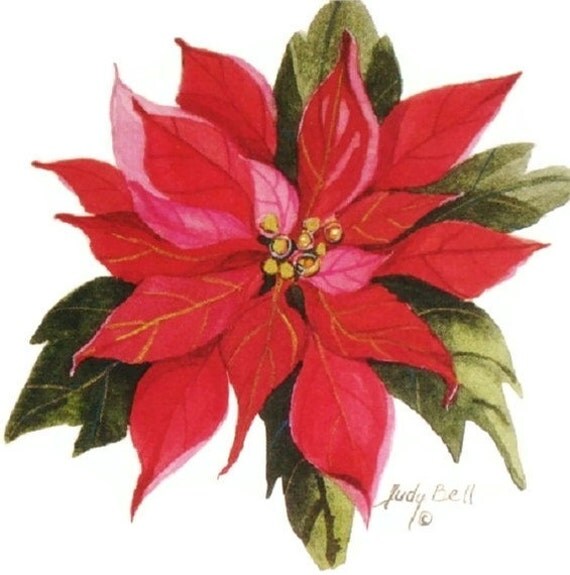 Red Poinsettia Print Christmas Art Holiday Decor Print
