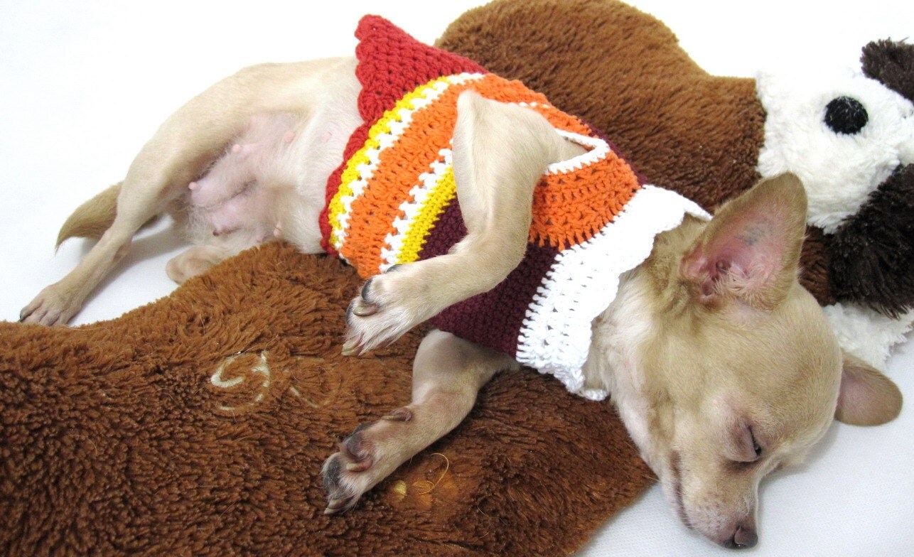 Dog Clothes Pets Clothing Chihuahua Clothes Dog couture D873