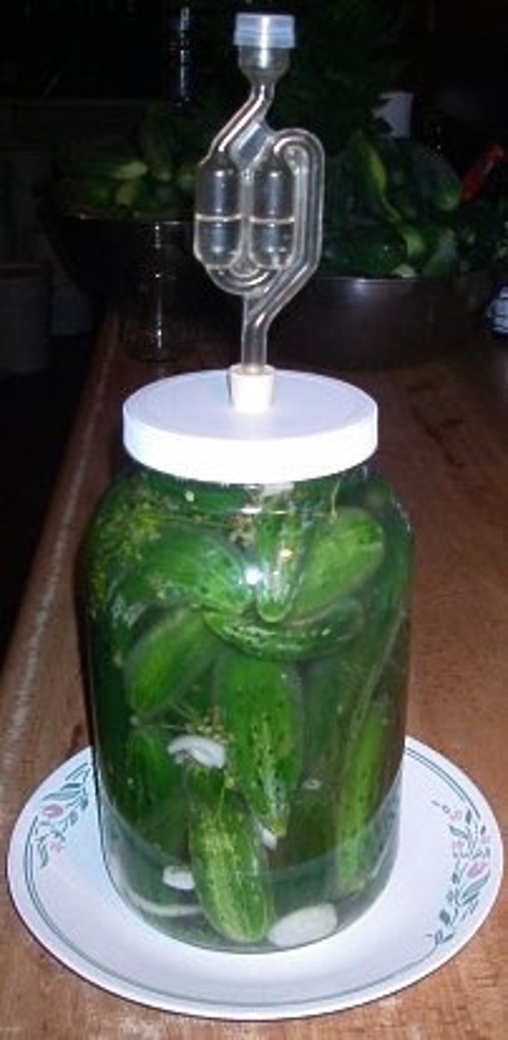 Items similar to The Pickle Meister - Glass Fermentation / Sauerkraut