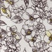 2 yards Black &White Abtract Floral Jersey Knit Fabric
