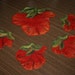 Felted Coasters, strawberry coaster, READY TO SHIP