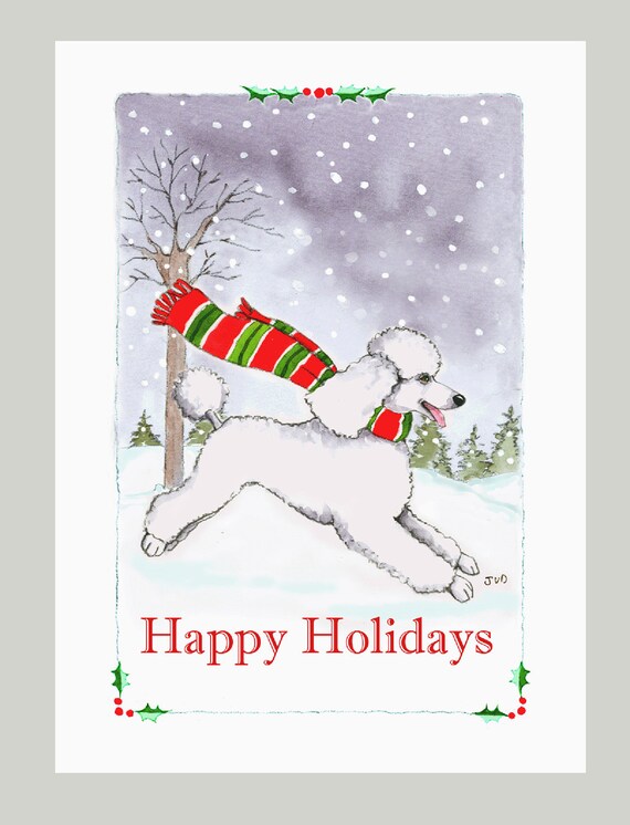 White Poodle Christmas Cards Box of 16