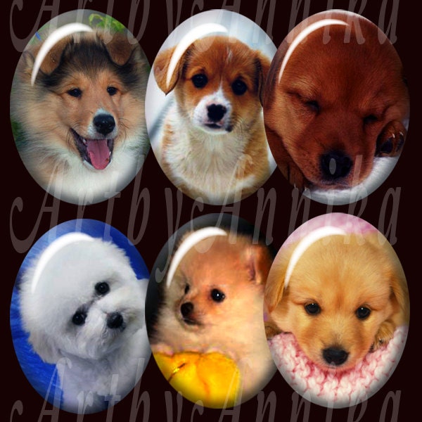 Digital Collage of Puppies 36 30 x 40mm JPG images