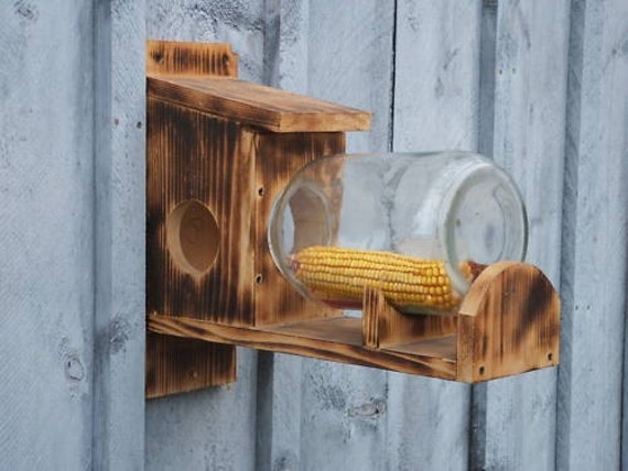 squirrel chipmunk bird wildlife feeder glass jar style fun to squirrel chipmunk bird wildlife feeder glass jar style fun to