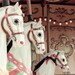 carousel print - carnival nursery decor horses pink light feminine fine art nature serene- 4x6 signed