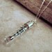 Real Butterfly Jewelry - Pendant - Glass Vial with Sunset Moth