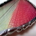 Grasshopper Wing Jewelry, Lopharis Cristata, Frog Grasshopper Pendant, Pink Grasshopper Pendant