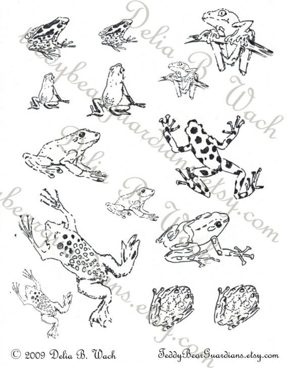 Black and White Rain Forest Frogs Collage Sheet Perfect for