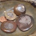 Fossils, 4 Moroccan Ammonite Fossil Buttons, or Cabochons, Jewelry Making, Mosaic Art, Meditation, D